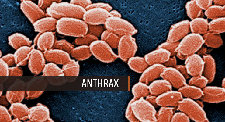 anthrax 2.jpg